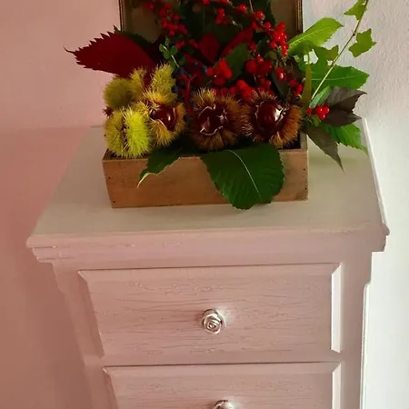 Appartement Casa Bianca