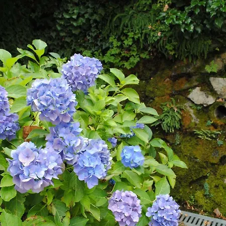 Casa Bianca Frabosa Sottana