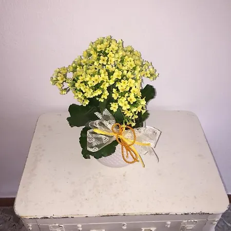 Casa Bianca Appartement